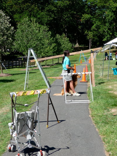 picture of Seeing Eye trainer, a dog, and an obstacle course