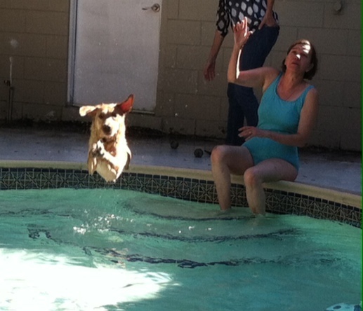 That's Whitney leaping into the water to chase the ball I just threw. 