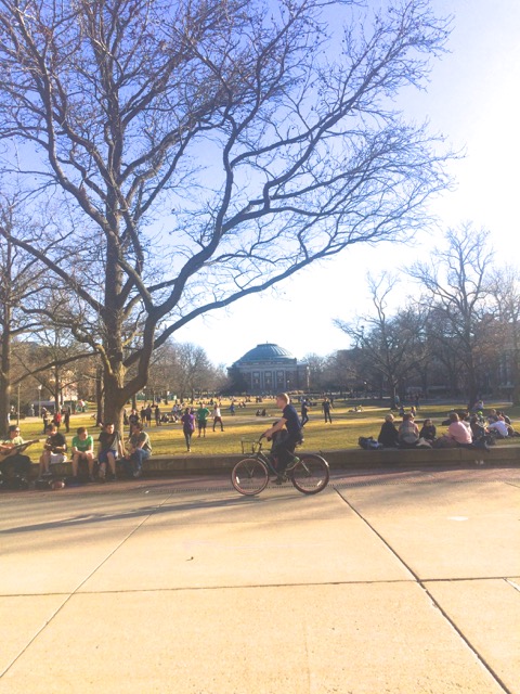The Quad in February. Nutty.