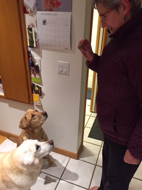 Nancy has the full attention of both the 6-year-old and the 16-year-old. Or, the treat does.