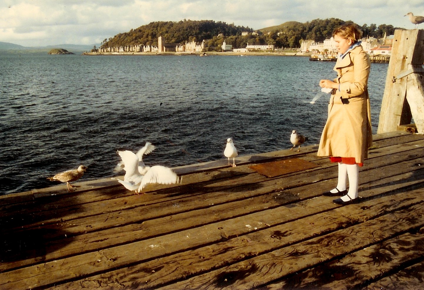 Back in 1984, we started our honeymoon in Edinburgh, and got as far as Oban, on the west coast of Scotland. Oban is on the Firth of Lorn, and Beth had fun feeding the gulls. 