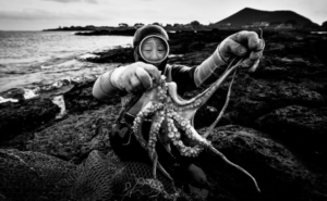 Photo of a woman diver holding an octopus.