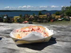 Delicious lobster roll on a rustic tabletop with Maine shoreline in the distance, photo by Mike Knezovich