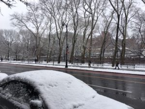 Photo of snowy NY.