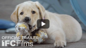Image of puppy that links to film trailer.