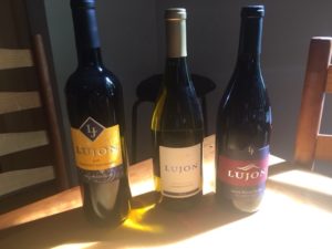 picture of three wine bottles